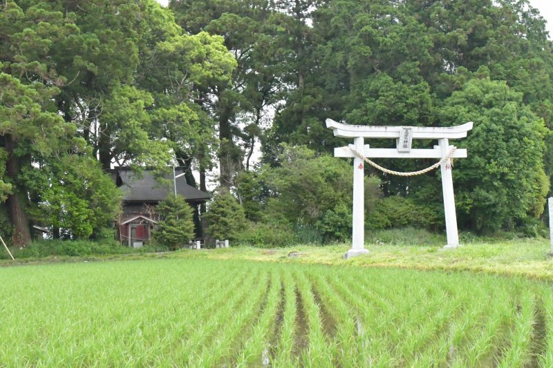 鳥居