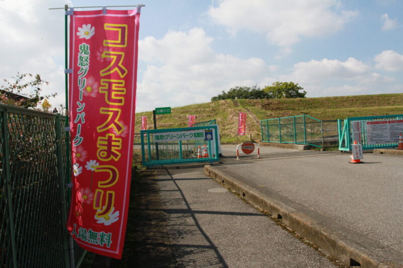 コスモスまつり